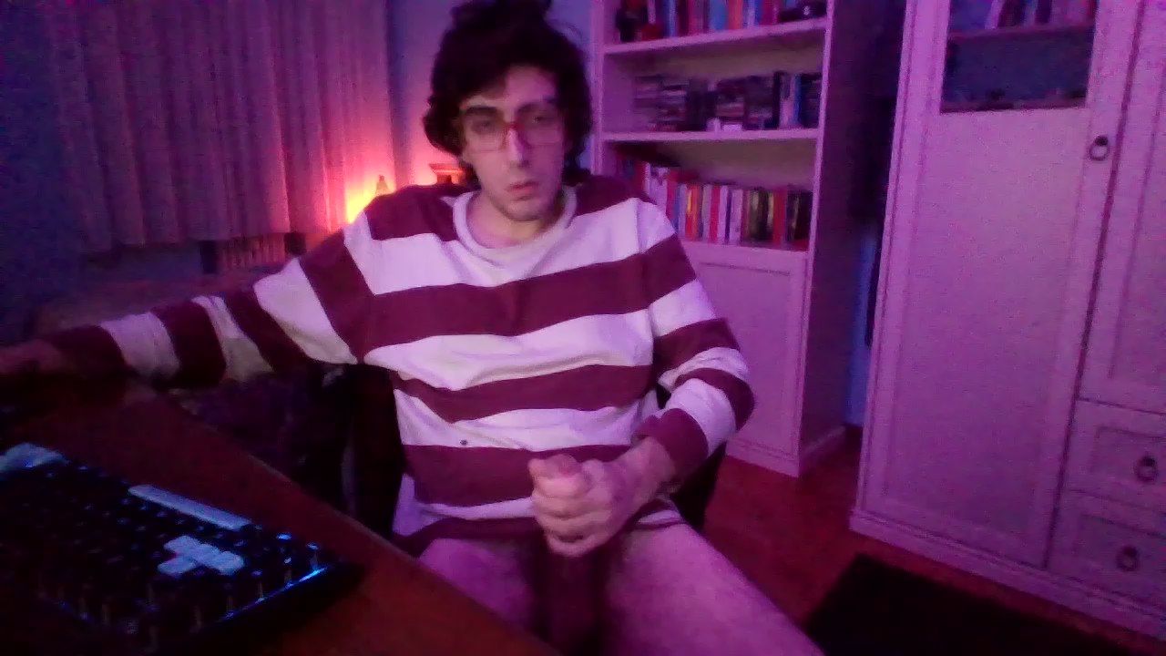 BaoloVoid CAM4 Model