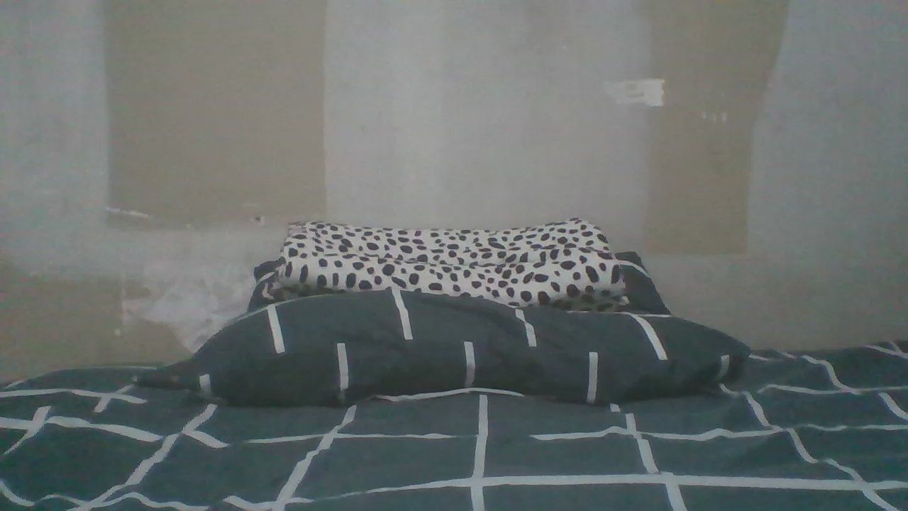 ComedorMagrelo CAM4 Model