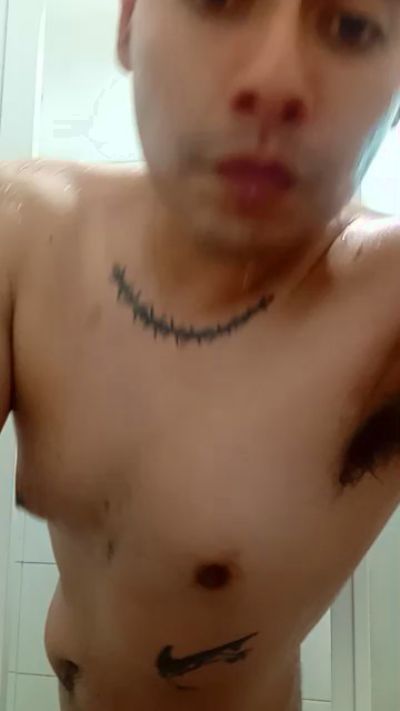 Crisivan1 CAM4 Model