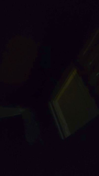 Cristobaal5 CAM4 Model