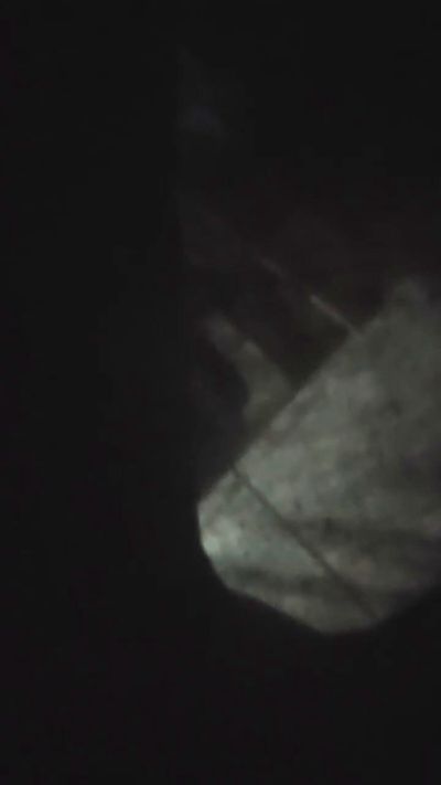 Iwild0anythin4u CAM4 Model