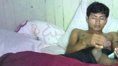 JacksCarlos CAM4 Model