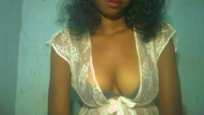 Landriciah CAM4 Model