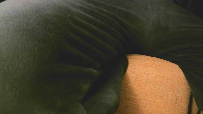 MEFOLLOENCIMA CAM4 Model