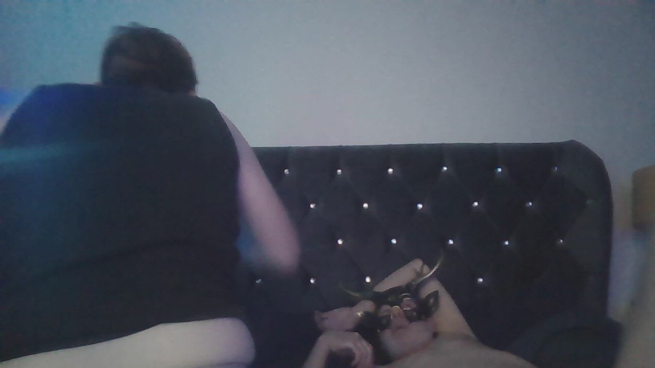 Thebearcave CAM4 Model