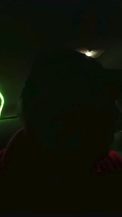 alexsutro2 CAM4 Model