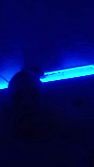 astaroth33 CAM4 Model