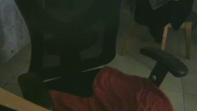 carlosalmada CAM4 Model