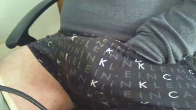 dimetrios3 CAM4 Model