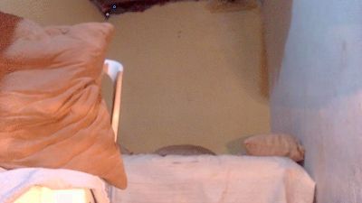 dirty_pervertid CAM4 Model