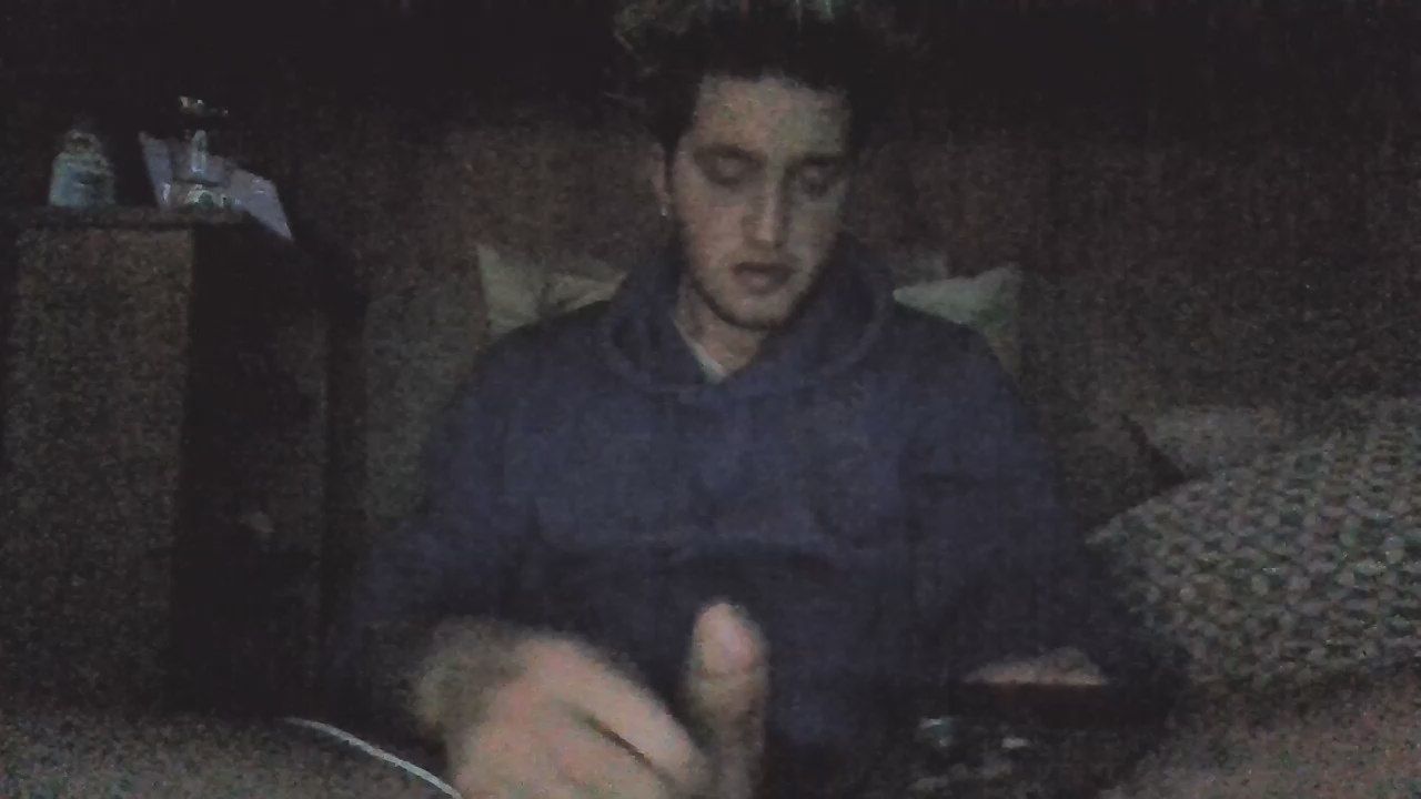 dragon376 CAM4 Model