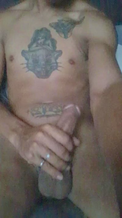 marian320 CAM4 Model