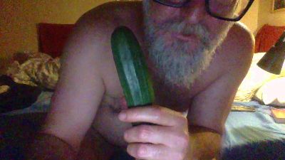 newslave4f CAM4 Model