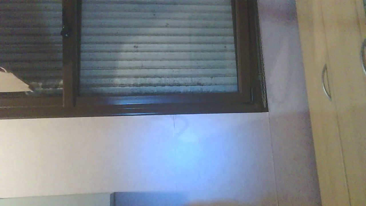 openallforfun CAM4 Model