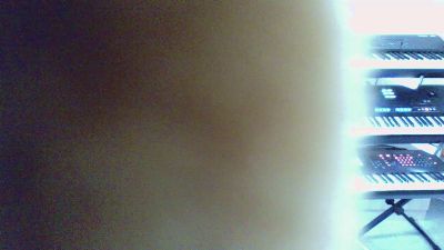 pacha2014 CAM4 Model