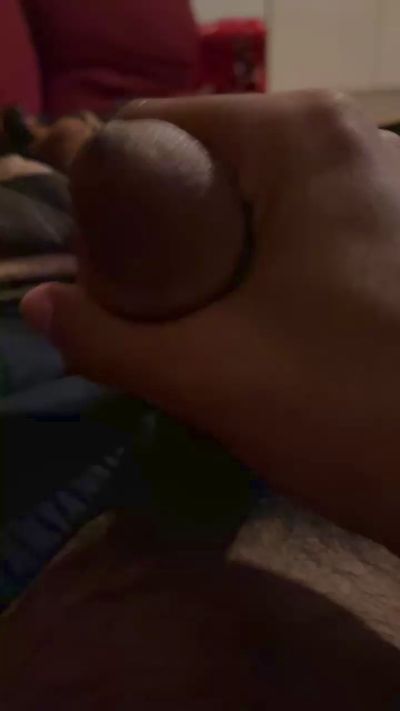 porcobg18 CAM4 Model