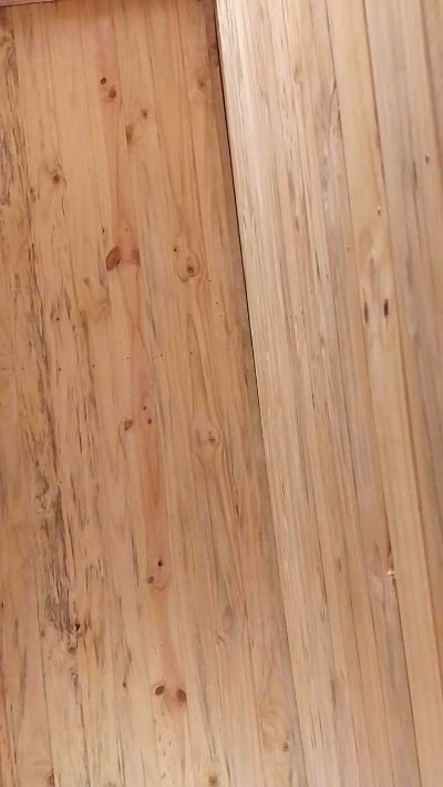 reydelaleche1 CAM4 Model