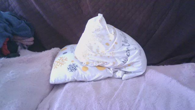 Last screenshot of srtomyneon's Show