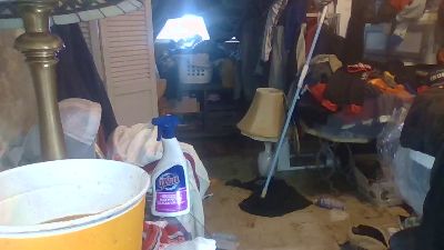 thompson3 CAM4 Model