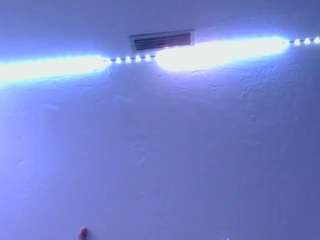 adoredsugar CamSoda Model