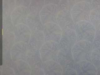 blanquithoboy CamSoda Model