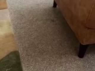 dnormous69 CamSoda Model