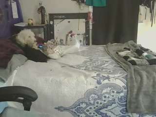 kristycakez CamSoda Model