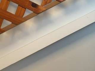 niaharris CamSoda Model