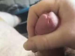 slcamuti440 CamSoda Model