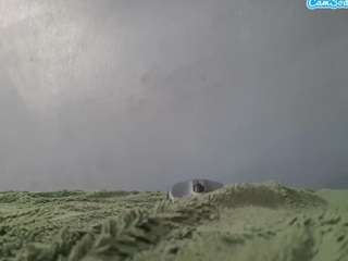 yibeobe74g CamSoda Model