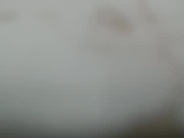 junk_yard_dog Chaturbate Model