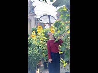 Panadahot69 DxLive Model