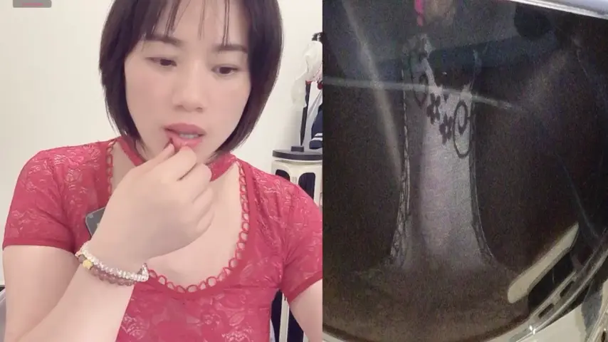 xinbao SinParty Model